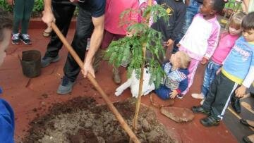 Professora de rede municipal de Medianeira desenvolve projeto em prol ao meio ambiente
