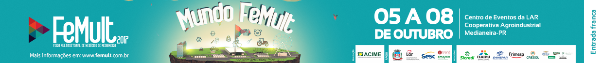 Femult 2017 V2